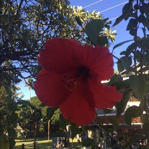 Meet your Posher, Mackenzie